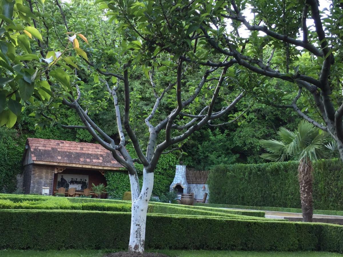 Aragvi Valley Villa Tsitelsopeli Ngoại thất bức ảnh