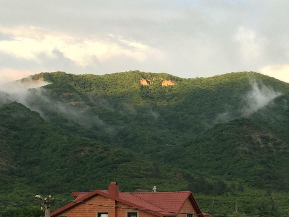 Aragvi Valley Villa Tsitelsopeli Ngoại thất bức ảnh